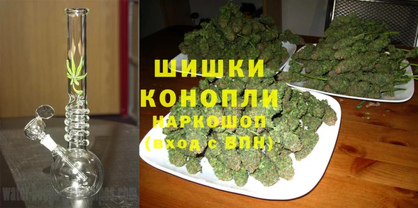 Альфа ПВП Гусев