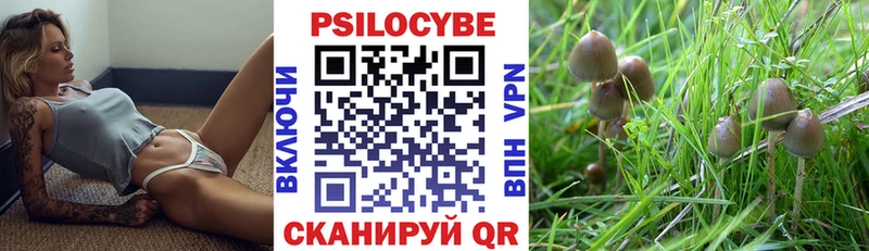 Галлюциногенные грибы Psilocybe  Купить закладки  Кодинск 